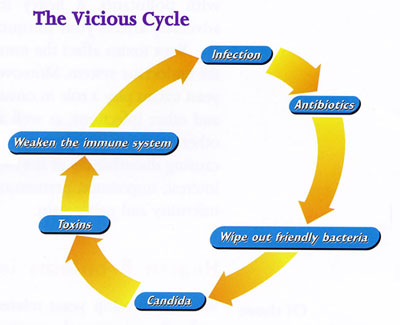 Corticosteroids immune system suppression