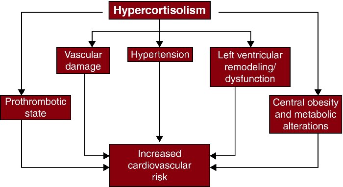 hyper adrenaline syndrome