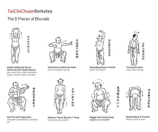 The 8 pieces of brocade qigong form