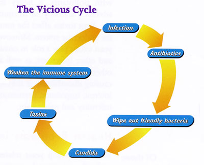 vicious cycle of candida