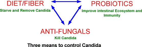 Three strategies can be used to control or get rid of candida
