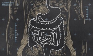 outline of digestive tract in black and white